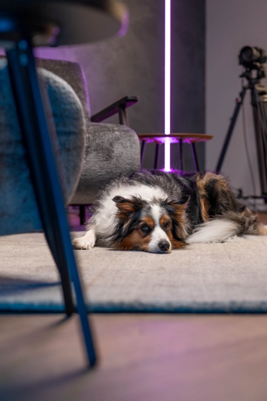 Studio Forendors — Představení služeb studia